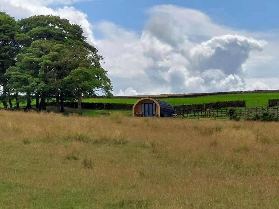 Apartament High Whashton Springs Glamping Pod, Richmond Yorks Zewnętrze zdjęcie